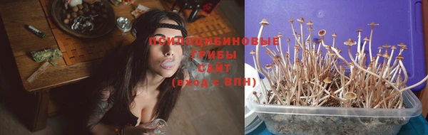 твердый Осинники