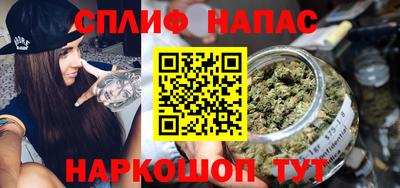 гашик Бузулук