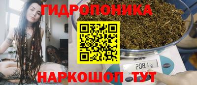 ALPHA PVP Гусев