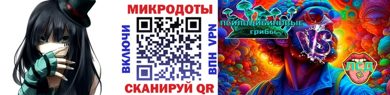 Галлюциногенные грибы Psilocybe  Зерноград 