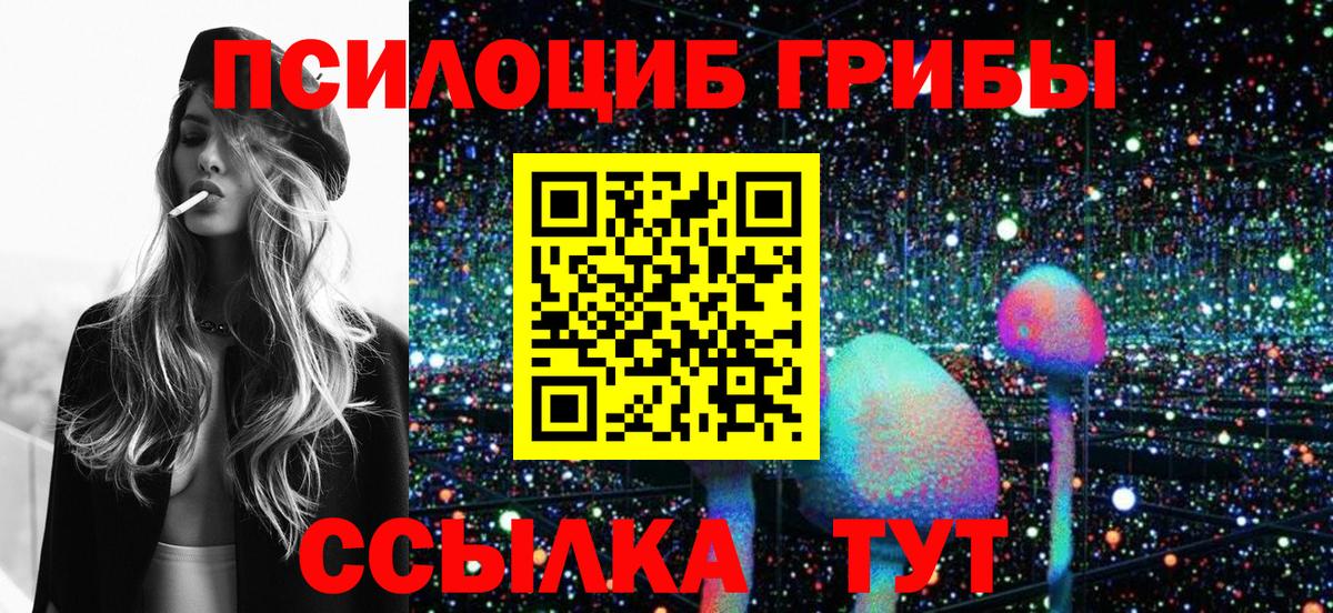 наркота  Псилоцибиновые грибы мицелий  Зерноград  Псилоцибиновые грибы MAGIC MUSHROOMS 