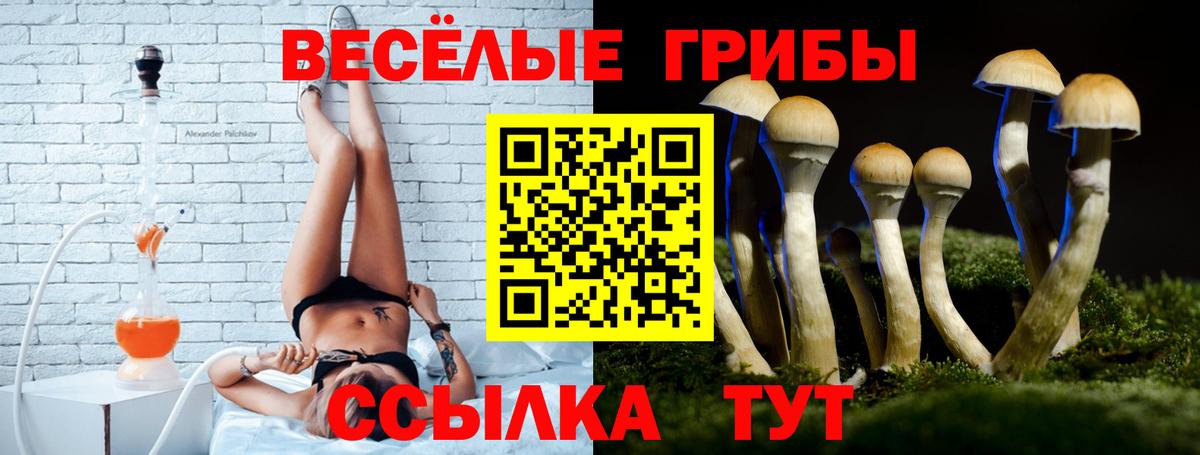 Псилоцибиновые грибы Cubensis  Вход с VPN  Зерноград 